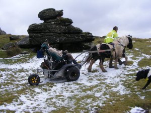 GregHoundTorDSCF0108-1