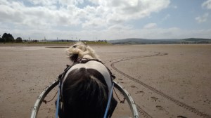 IMG_20150602_153817866