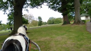 IMG_20150602_171558363