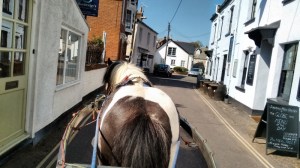 IMG_20150604_162338415