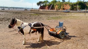 IMG_20150604_163121342_HDR