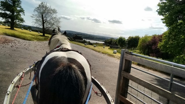 wp-1433925331465 image