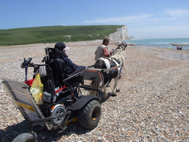 wp-1453808916109 image