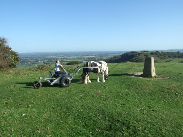 wp-1453820708300 image